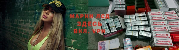 индика Алзамай