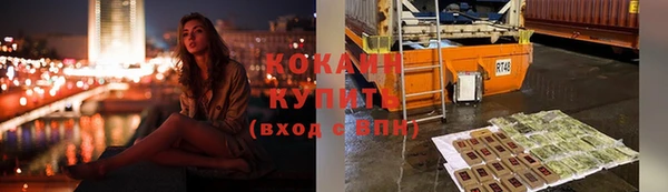 прущие грибы Новокубанск