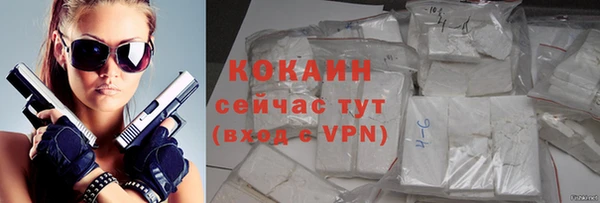 индика Алзамай