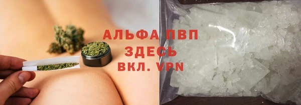 индика Алзамай