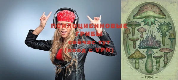 индика Алзамай