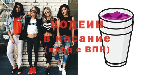 индика Алзамай