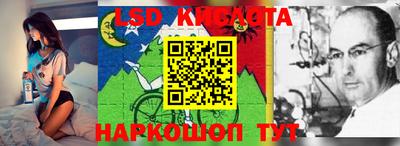 MDMA Premium VHQ Гатчина