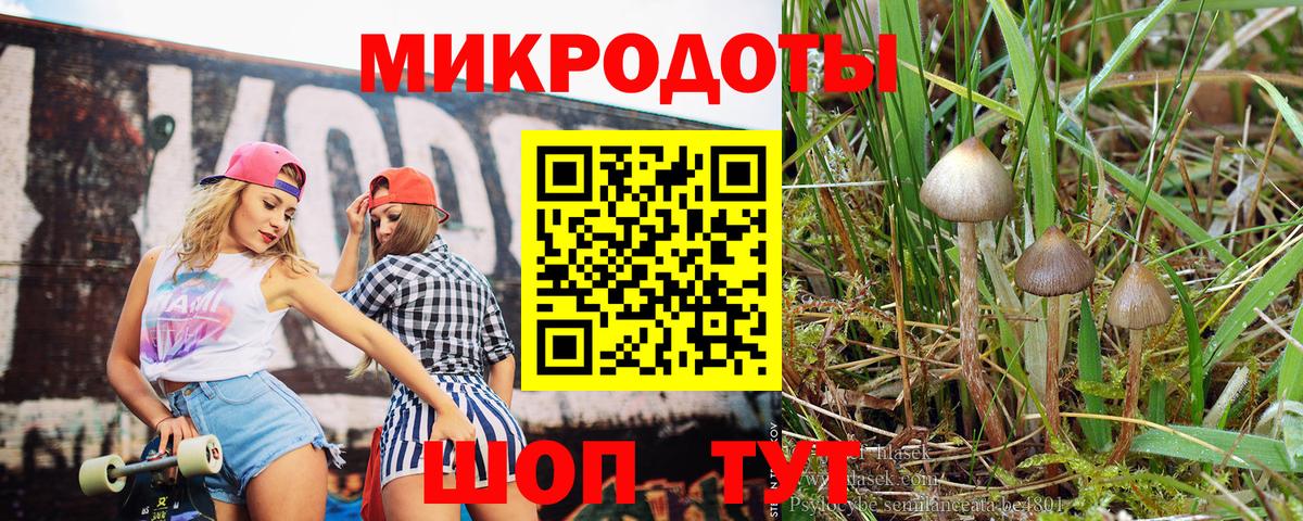 где продают наркотики  Псилоцибиновые грибы прущие грибы  Вход с VPN  Нижний Тагил 