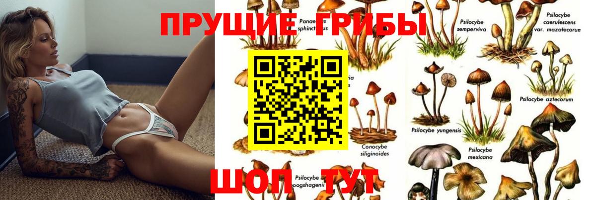 Псилоцибиновые грибы Magic Shrooms Нижний Тагил